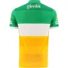 Rugby 2022 Offaly Gaa Home Trikot 2022/23 Irland Offaly Training Rugby Trikot Größe S5XL