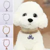 Hundekragen Perlen Anhänger Haustier Halskette glänzender Diamant für Katzenschmuck Accessorie Haustiere Kragen Geburtstag Geschenk Po Accessoires