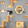 Kratzer Katzenklettern Regal Wand montiert schwimmende Stieftreppe mit Schwestern Kratzer nach Katzen Baum Tower Plattform springen Haustiermöbel Springmöbel