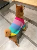 Tröjor valp regnbåge tröja stickad husdjur katttröja varm hund tröja hund vinterkläder kattunge valp tröja
