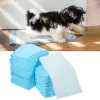 Blöjor 100 datorer Superabsorbent och vattentät hundvalp Pet Training Mats bitar Disponibla kissa kuddar Byt nonwoven tyg