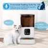 Feeders Новая видеокамера 6L Feeder Timing Smart Automatic Pet Seeder для кошек Wi -Fi Интеллектуальная сухая пища.