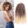 8 Inch Short Passion Twist Hair Marlybob Crochet Hair Kinky Curly Crochet Hair for Black Women