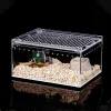 Terrariums Onepiece Fleproofproofing acrylique Transparent Office Box Reptile Snake Gecko Spider Frog Horned et autre petite boîte d'alimentation pour animaux de compagnie