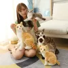 Toys Simulation Oreiller American Shorthai Siamois Cat Splusted Lifen Lifenke Doll Animal Pet Toys for Children Home Decor Baby Gift