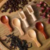 Scoops de café 9 PCS Assaisonnement Spoon Small Wooden Scoop pour les cuillères Pottes Lotus Tree