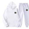 Dames tracksuits hoodie sets Terry Jumpers passen klassieke vrouw twee stukken sets