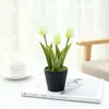 Dekorative Blumen künstliche Tulpen Bonais gefälschte drei Blumenköpfe Topf Hochzeit Party Dekoration Büro Desktop Wohnzimmer Ornament