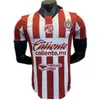 24 25 Maglie da calcio Guadalajara Speciale Chivas Regal Chicharito I.Brizuela C.calderon A.Zaldivar A.Vega Allona 3 ° 2024 fan e giocatori da calcio per bambini camicia per bambini