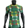 Soccer Tracksuits 23/24 Senegal Jersey Player Version utskrivbar