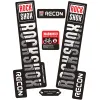 Acessórios 2019 Rockshox Recon Decals