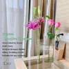 Vasi Clear Book Vase Flower Vase Cute Modern Transparent Bookshelf Decor per disposizione floreale Desktop Ornament Regalo di matrimonio