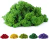 Flores decorativas 200g Fake Moss Moss Artificial Life Eternal