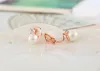 Earrings Fashion Pearl Clip on Earrings Cubic Zirconia No Hole Earring for Women Luxury Jewerly