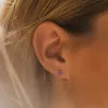 Oorbellen sunibi roestvrijstalen oorbellen voor vrouwen geboortesteen piercing pistool goud kleur oorbuier pushback piercing geschenken sieraden groothandel