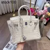 Bychance Platinum Small Bag Coseer Home Drill Backle Himalayan Crocodile Cow Cow Handhed Women's Women's Sac à main le cuir authentique