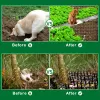 Gaiolas jardim protetor anticat líquido plástico espinho, impedindo o tapete de gato sem ferir para animais de estimação malha durável anti -proteção de proteção de animais de estimação