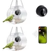 Altri rifornimenti per uccelli alimentatore trasparente sospeso di uccelli smart con fotocamera per la finestra Clear Hummingbird