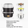 Appliances Mini Electric Rice Cooker Stainless Steel 2/3 Layers Food Container Steamer Portable Meal Heating Lunch Box Heater Warmer Bento