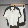 Summer Mens Loose Polo Shirt and Shorts Twopiece Set Men Casual Short Sleeve Pants Pass Korean Luxury Clothing 240412