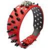 2 Wide Spiked Studded Leather Dog Collar Bullet Rivets With Cool Skull Pet Accessories For Meduim Large Dogs Pitbull Boxer SXL 240418
