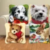 Pillow Animal Series Latch Hook Tapis Kits chiens 3D Segment Broderie Oreiller en laine Cross Cross Tapis Briderie DIY OLLOW KNOOPPAKKET