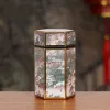 Jars New Tinplate Tea Caddy Home Sealed Candy Box Chinese Metal Can Hexagonal Storage Tea Tank Small Portable Organizer Packaging Box