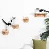 Скретчики настенные настенные кошачьи гусеницы мебель для домашних животных деревянная лестница