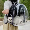 Pet Cat Carrying Bag Space Pet Ryggsäckar Bortable Portable Transparent ryggsäck Valp hundtransportutrymme Kapselväskor 240420