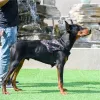 Harnies nieuwe tactische honden harnas militair huisdier Duitse herder huisdier training vest hondenharnas en riem ingesteld voor kleine middelgrote grote honden