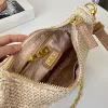 Nylon Straw Bags Shoulder Bags Handbags Purses Designer Crossbody Lady Hobos Underarm Bag Woman Chain Baguettes Small Totes uettes