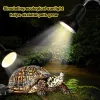 Beleuchtung UVA/UVB E27 PET -Reptilien Aquarium Heat Lampe Clipon Glühbirne Einstellbare Halteschildkröten UV Heizlampe für Eidechsenschildkröte