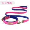 Collars Personalized Dog ID Collar With Leash Soft Padded PU Leather Dogs Collar and Leash Set Antilost Tag For Small Medium Large Dogs