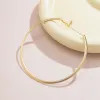 Collane Elegante semplice Circolo grosso della collana per le donne CHOKER TRENDE COLLAR 2023 Gioielli di moda sugli accessori per il collo femmina