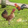 Gardendecoraties 1 Set van acryl kip kuikentuin decoratieve kipvormige stake Lawn Rooster Stakes