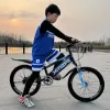 Bicycle Single Speed Mountain Bike for Children Shock Absorption Suitable for Over 6 Years Old 20 Inch Selfree Dropshipping