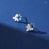 Studörhängen Real 925 Sterling Silver Zircon CZ Star for Women Classic Plant Fine Jewelry Light Luxury Accessories