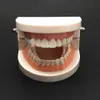 Vampire denture resin transparent fangs zombie fangs spoof toys Halloween Party Costume ball props
