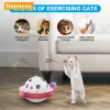 Toys Electric Automatic Rotating Cat Toy with Roller Tracks Ball Butterfly Feather Fun Cat Toy Exercise Interactive Teaser Kitten Toy