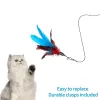 Accessoires Cat Toys Cat Feather Wand, 11pcs Cat Interactive Toys, Kitten Retractable Toys Toys Toys Améliorer la santé interactive et animale