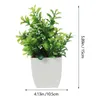 Fleurs décoratives 4 pcs plante artificielle en pot de fausses plants de bonsaï ordes intérieures de faux bureau décor