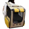 Väskor PET Ryggsäck för kattfönstertransport som bär påse andningsbar resväska hund ryggsäck astronaut rymdkapsel katttillbehör