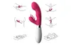 Brosser le vibrateur de la tête de la tête pour les femmes Nouveau stimulateur G-spot puissant avec batterie