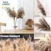 Fiori decorativi Pampas secchi erba per decorazioni per la casa Bouquet Natural Preserve Water Wedding Decoration Accessori