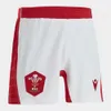 Men Jersey 2022 Wales Home/Away English NRL Olive Manga curta Camiseta Shorts de treinamento Rugby