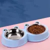 Nutrire simpatico cucciolo di gatto a doppia ciotola per alimentazione da alimentazione in acciaio inossidabile bere e nutrire piatto per alimentazione per acqua per cibi per piccoli cani
