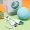 Kontrollera kul Electric Smart Cat Ball Toy USB -laddning Automatisk teaser Självrullande pussel leksak för inomhuskatt Kattunge interaktiva leksaker