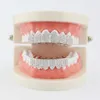 Micro Set 4a Zircon 18K Gold plaqué Hip Hop Dentans Grills adapté aux hommes et aux femmes Halloween Vampire Gold Dents