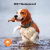 Collar per shock per cani per cani medie collare di addestramento per cani con telecomando per cani di piccola taglia 515 libbre IPX7 IPX7