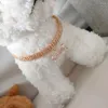 Hondenkragen mode high-end voor kat en puppy accessoires keten sieraden huisdier kraag ketting benodigdheden